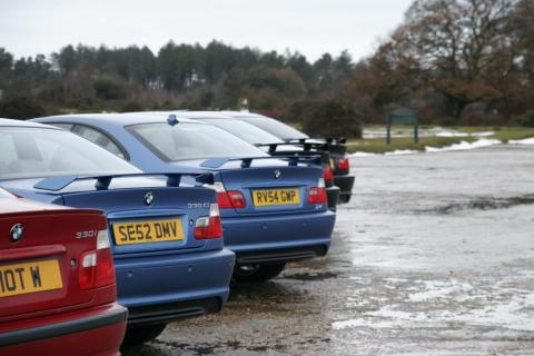 last weekend in the new forest